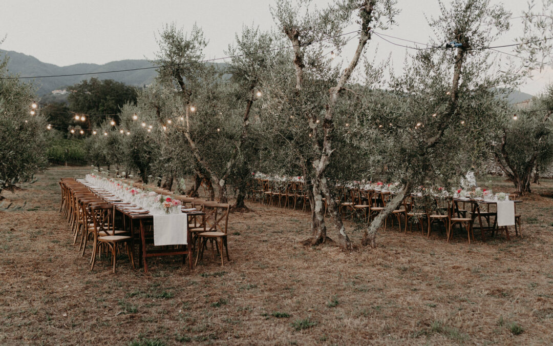 WEDDING RECEPTION In the olive grove on the hills of Lucca Tuscany